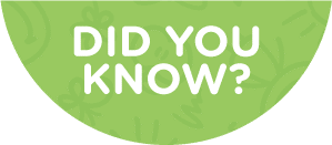 Did you know text